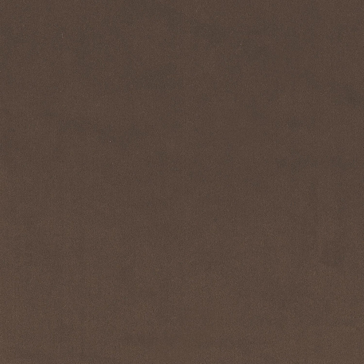Casamance Minaude fabric — Chataigne