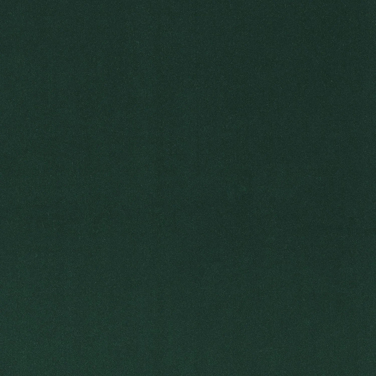Casamance Minaude fabric — Vert Sapin