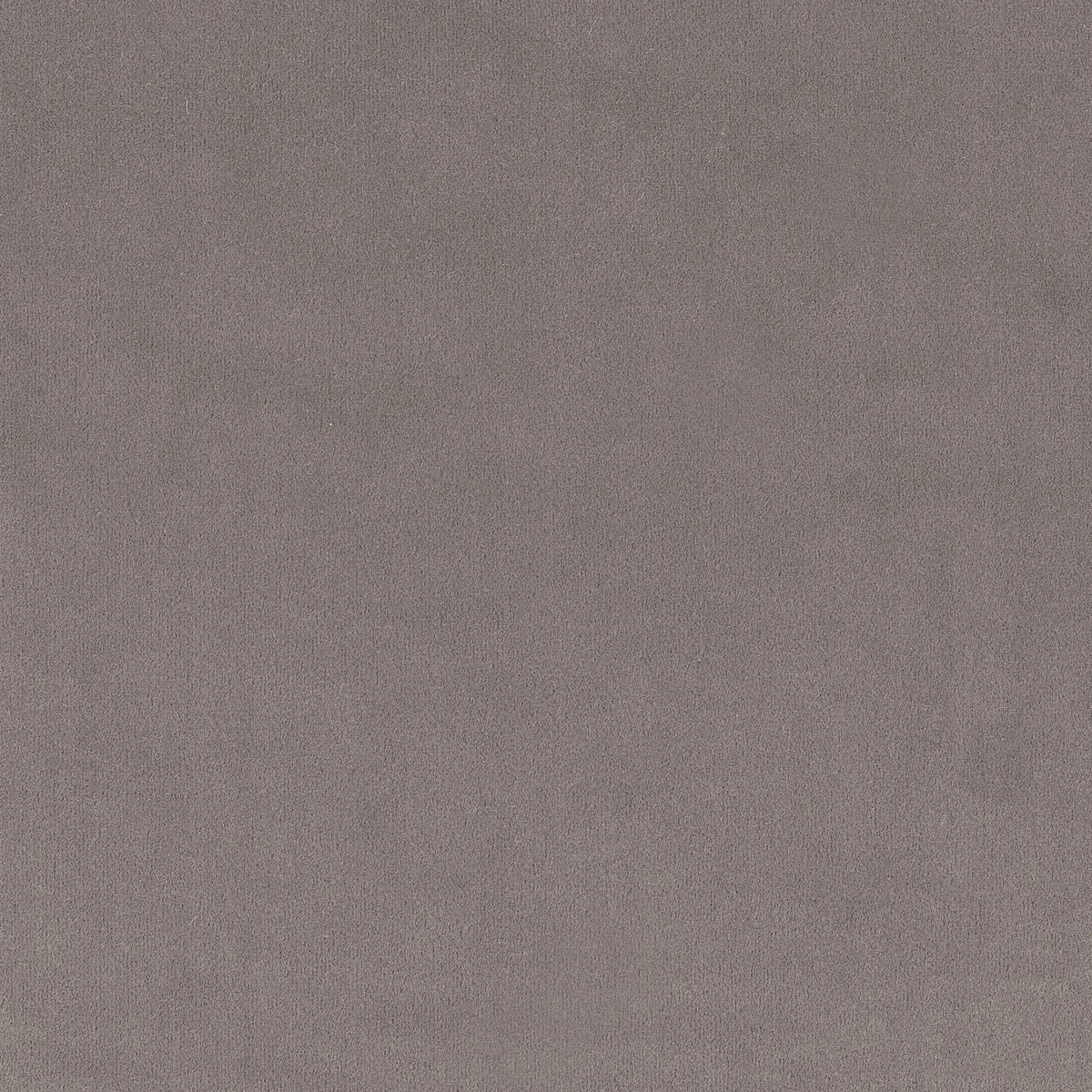 Casamance Minaude fabric — Mastic