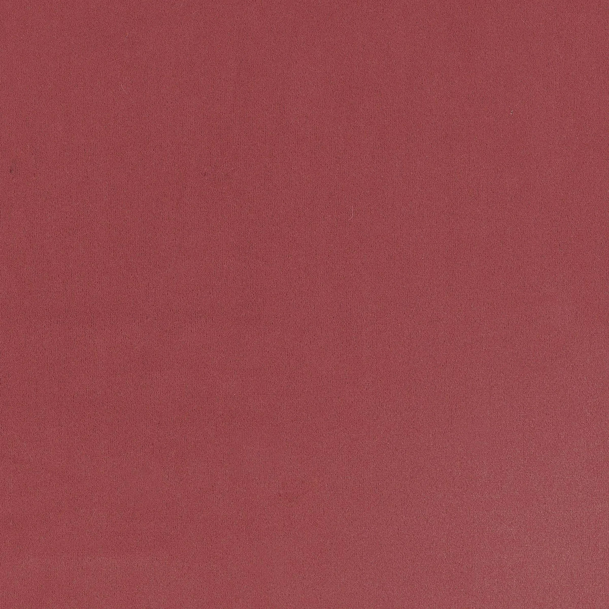 Casamance Minaude fabric — Bois De Rose