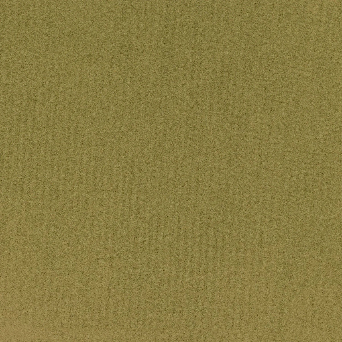 Casamance Minaude fabric — Olive