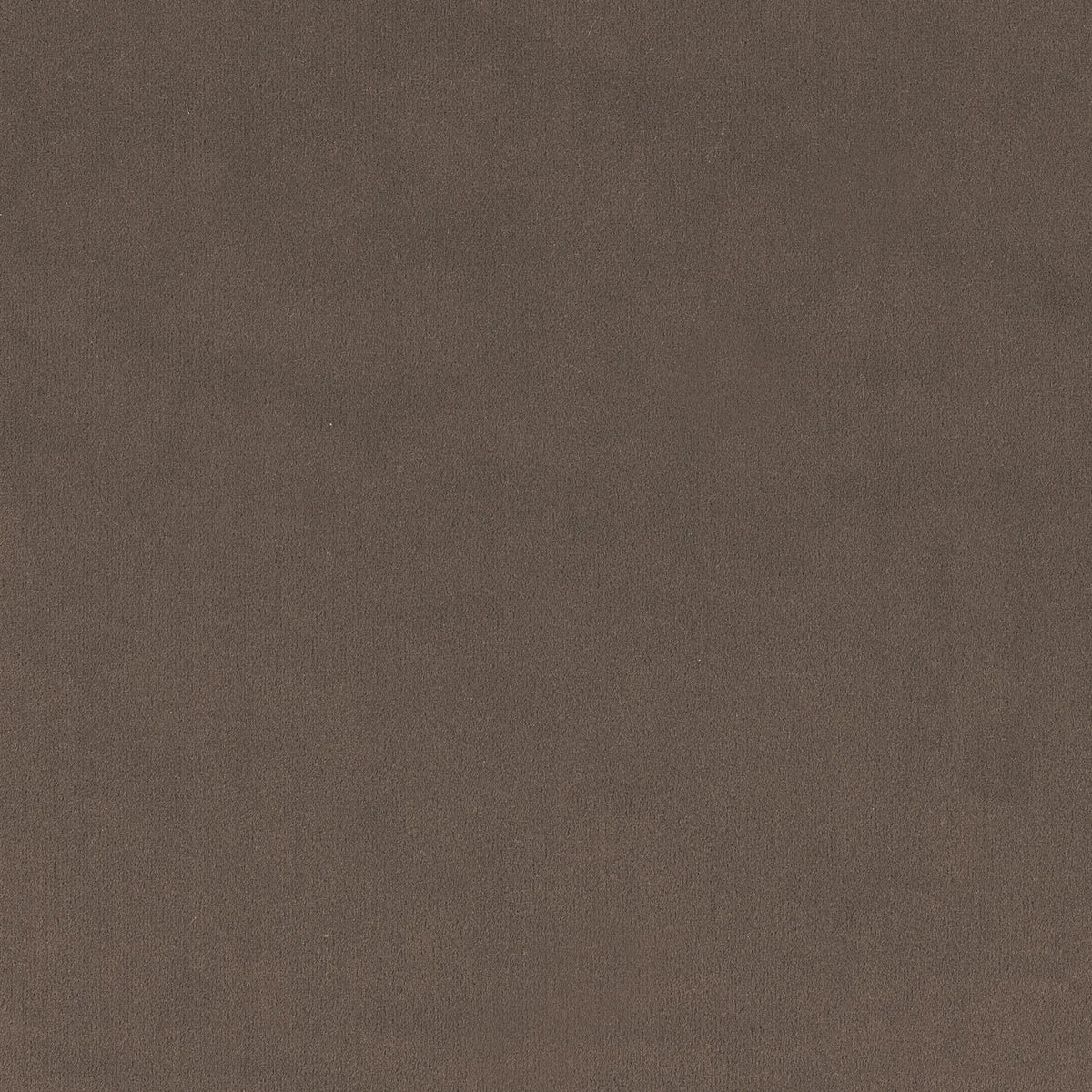 Casamance Minaude fabric — Brun Tabac