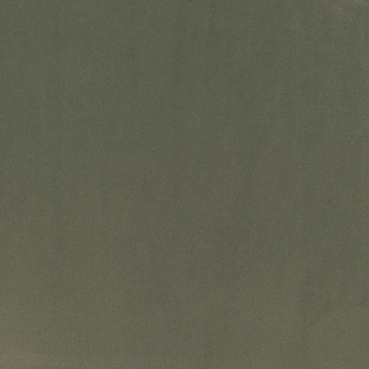 Casamance Minaude fabric — Vert Lichen