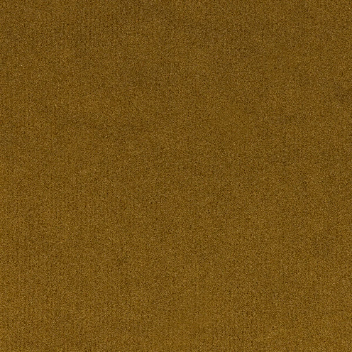 Casamance Minaude fabric — Jaune Or