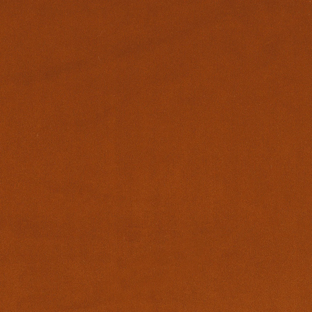 Casamance Minaude fabric — Orange Brûlee