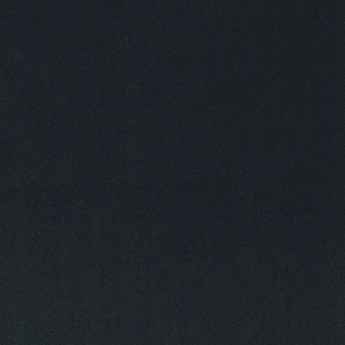 Casamance Minaude fabric — Carbone