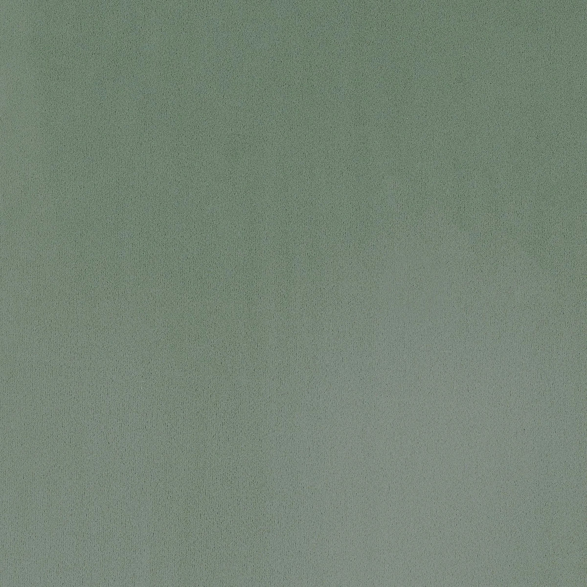 Casamance Minaude fabric — Pistache