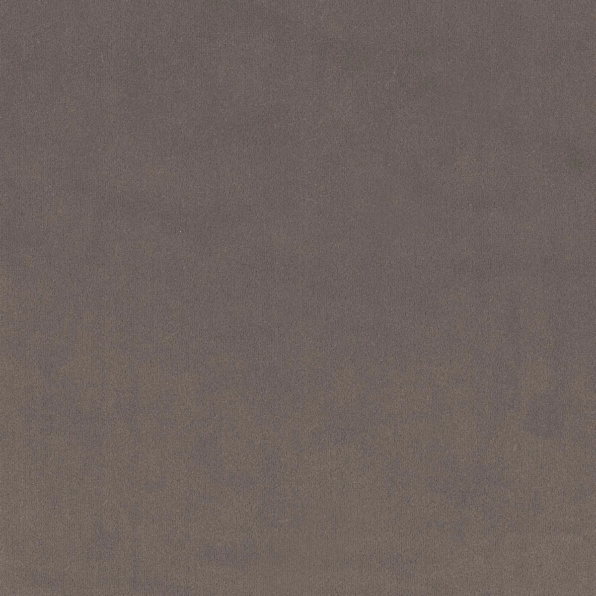 Casamance Minaude fabric — Beige Taupe