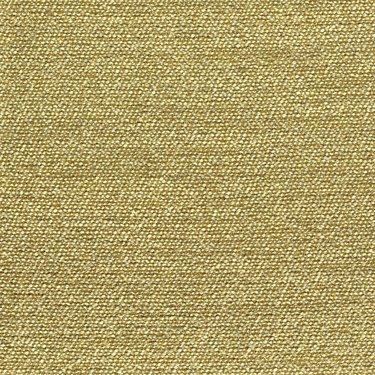 Casamance Harmonie fabric — Olive