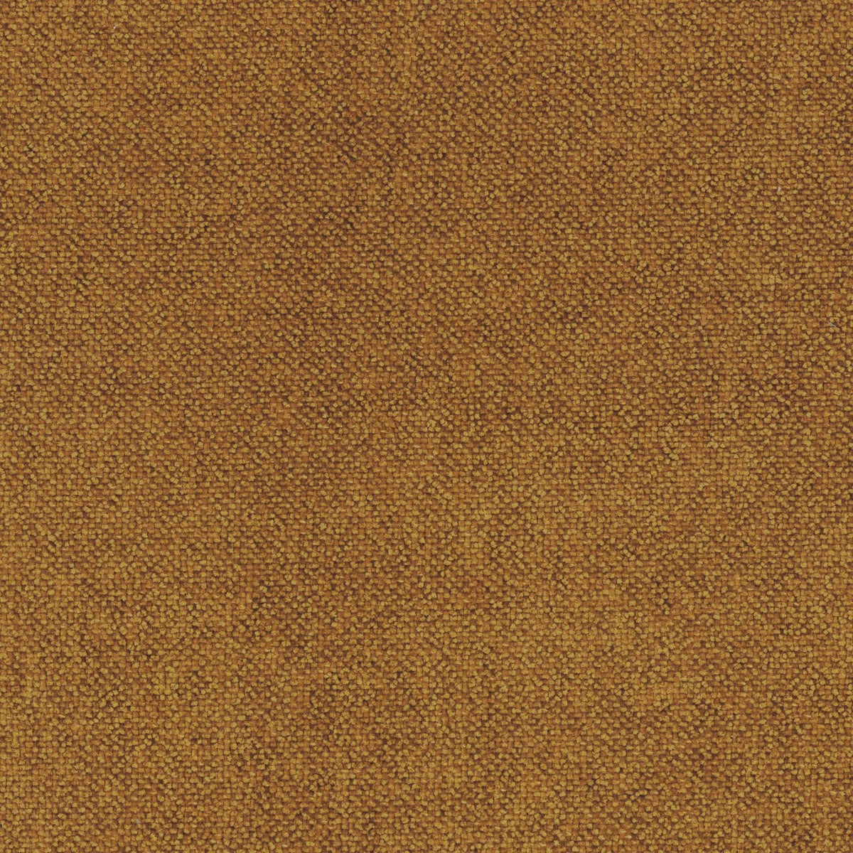 Casamance Socoa fabric — Ambre