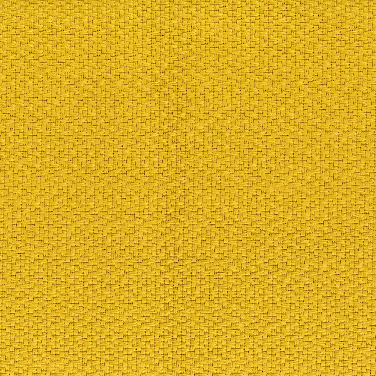 Casamance Ziro fabric — Jaune
