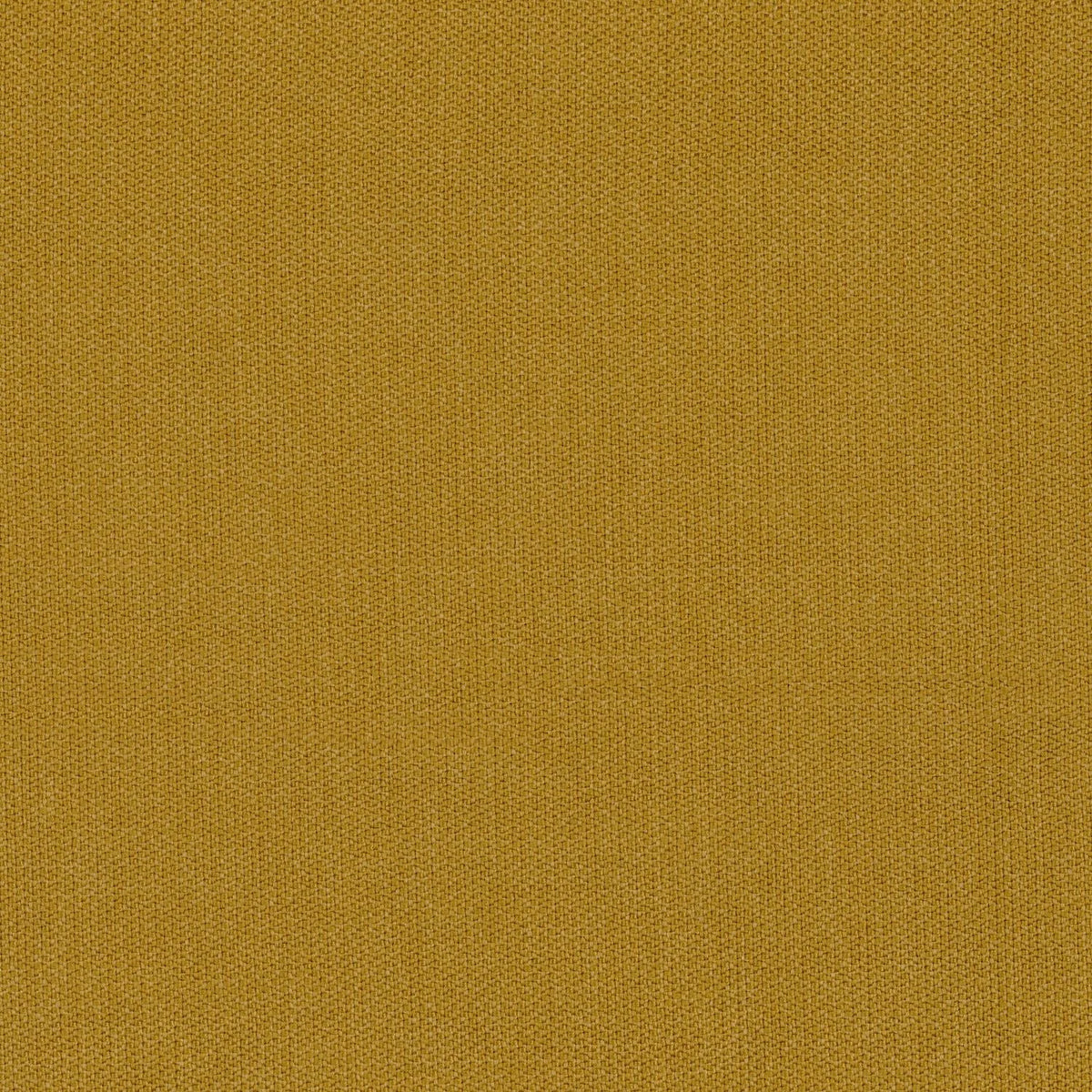 Casamance Knossos fabric — Jaune