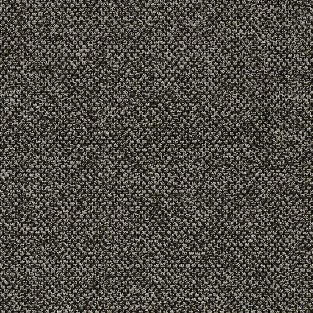 Casamance Pavlos fabric — Carbone