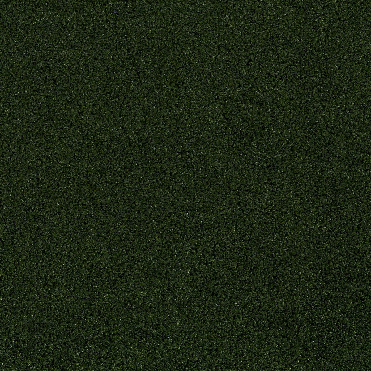 Casamance Népal fabric — Vert Sapin