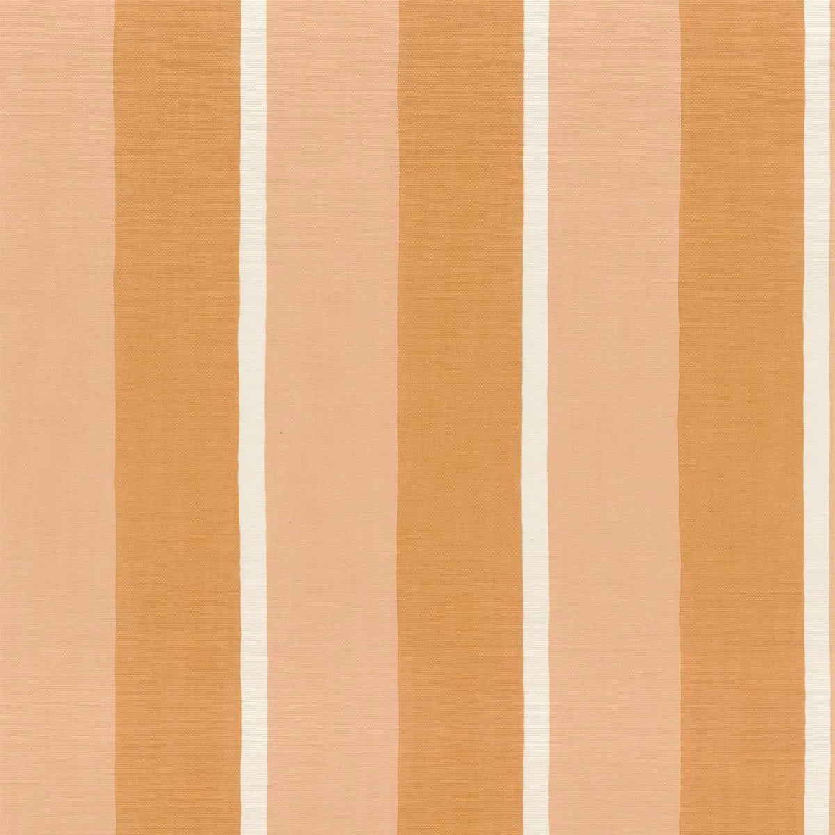 Casamance Sinopia wallpaper — Abricot/Peau De Pêche