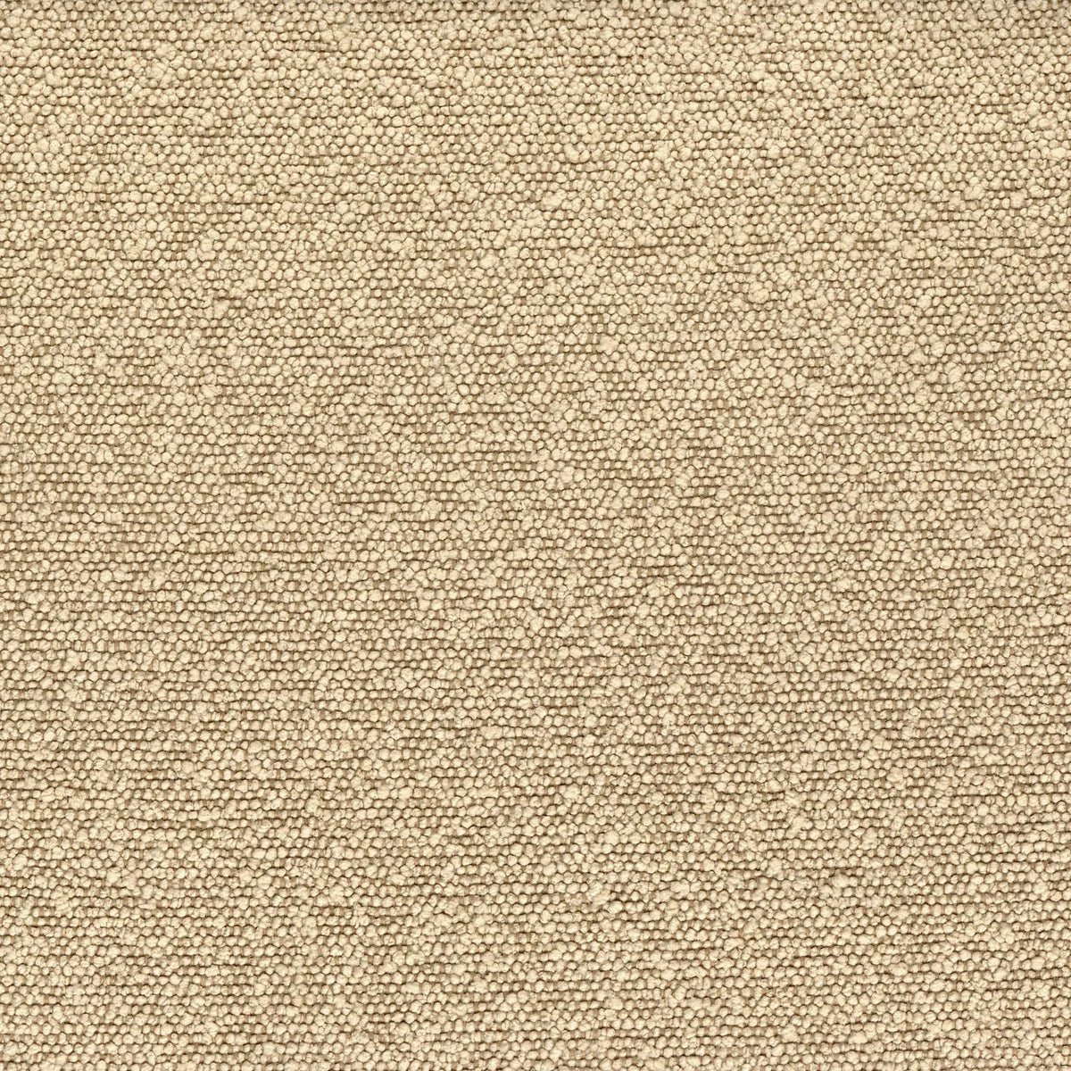 Casamance Taiga fabric — Dune