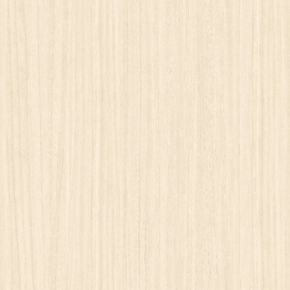 Casamance Zebrano wallpaper — Ivoire