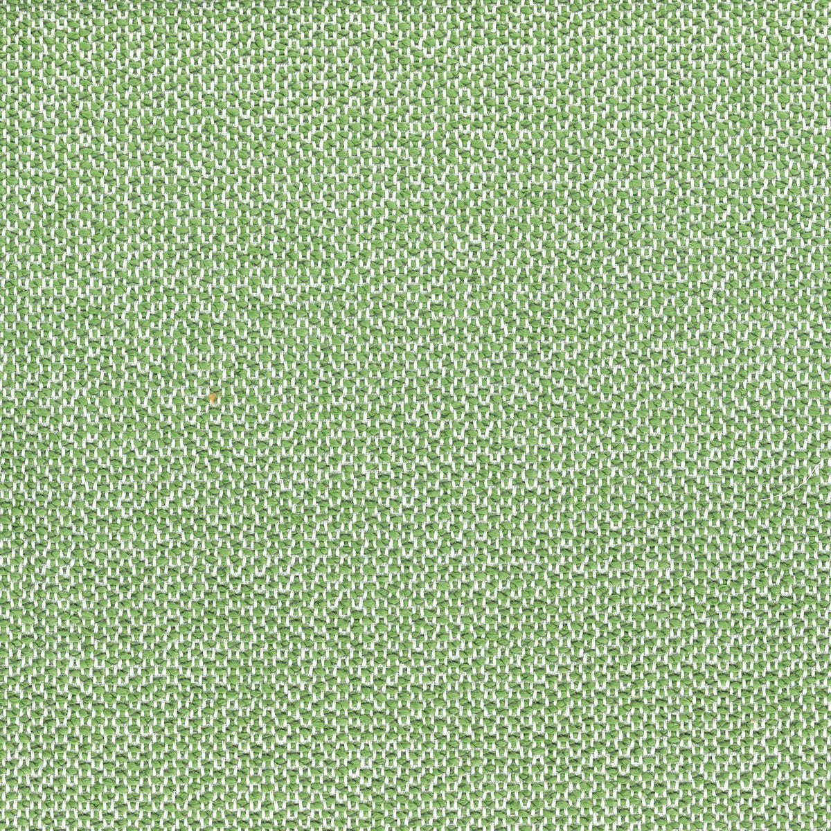 Casamance Zia fabric — Vert Mousse