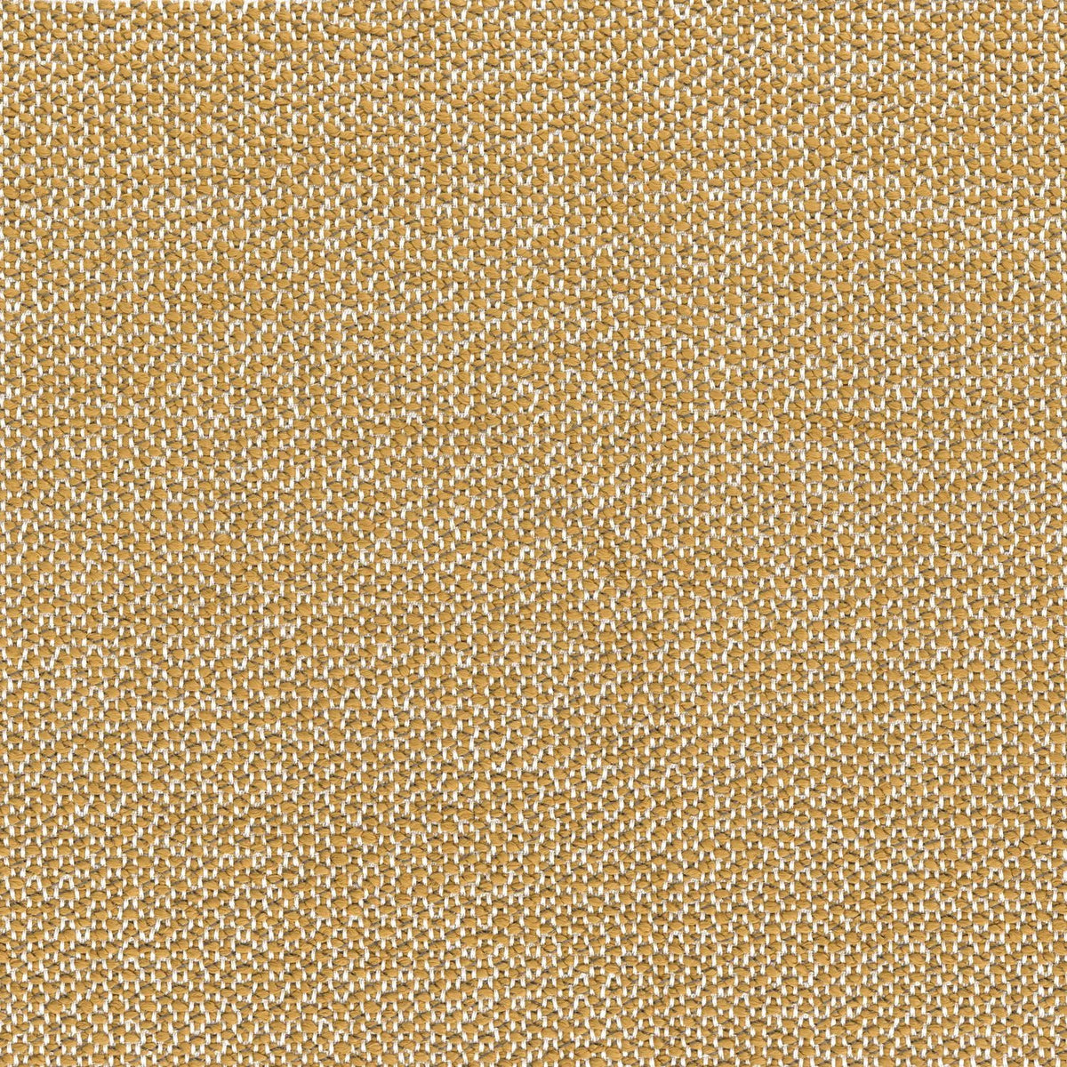 Casamance Zia fabric — Ocre