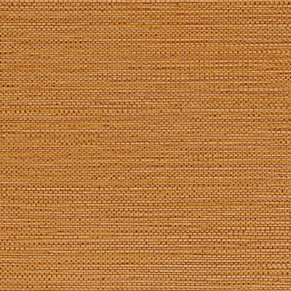 Casamance Zostera wallpaper — Terre De Sienne
