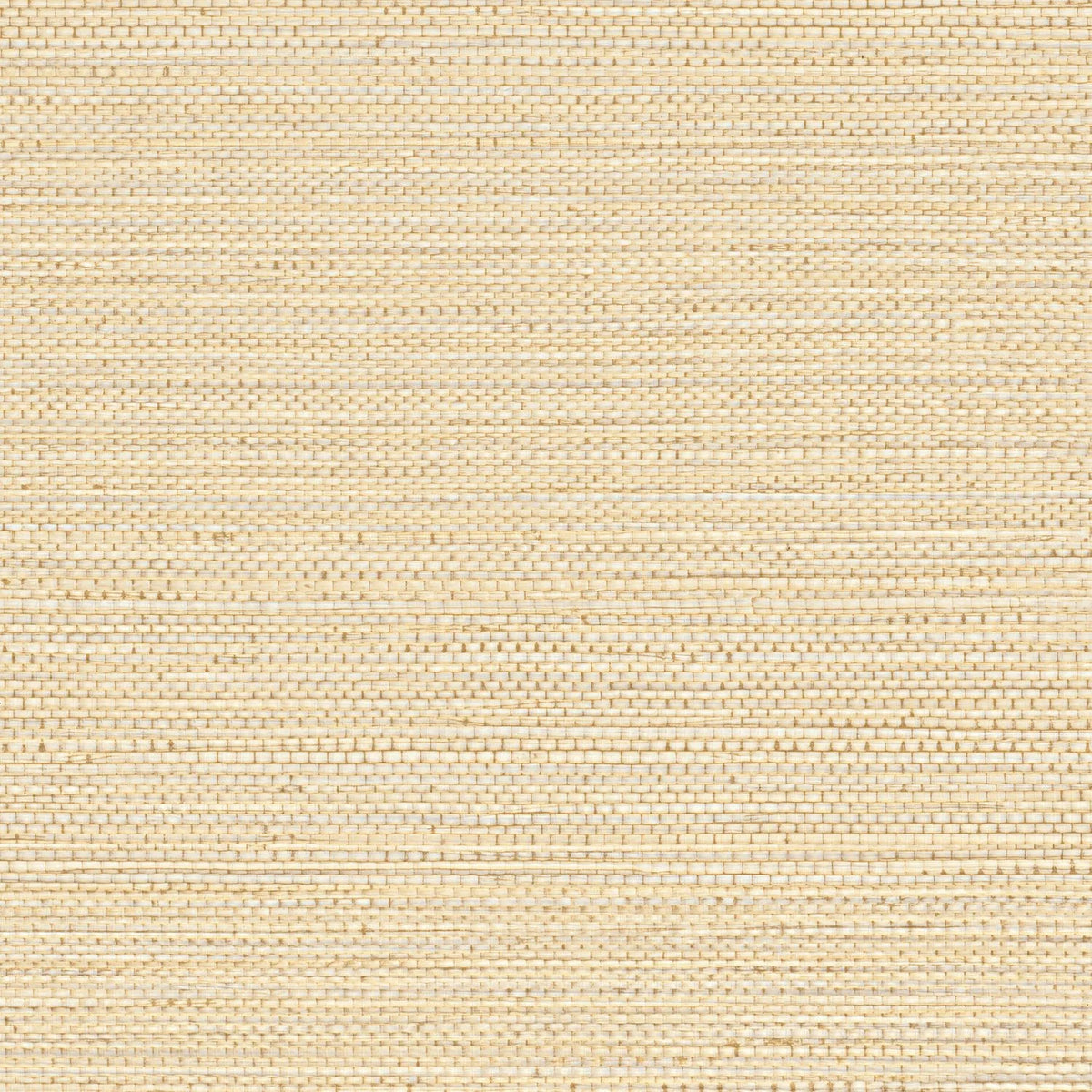Casamance Zostera wallpaper — Coquille