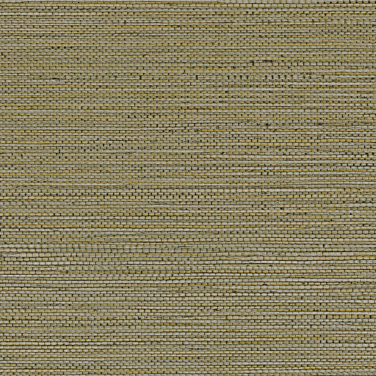Casamance Zostera wallpaper — Kaki