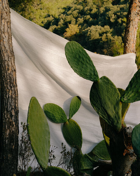 Terre & Mer detail