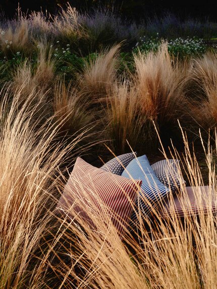Songe dEte detail