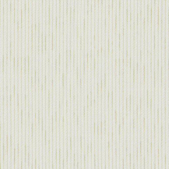 Pino - 182