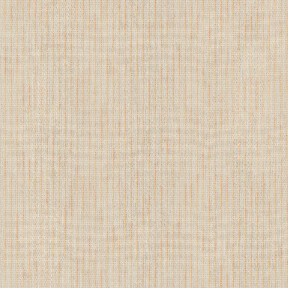 Pino - 343