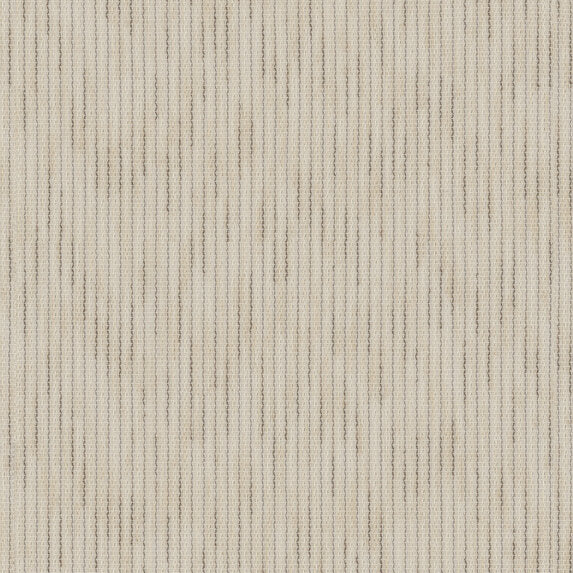 Pino - 373