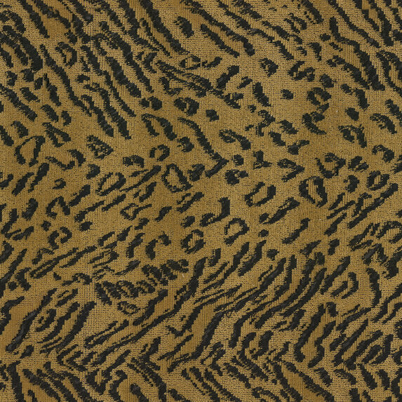 Oncilla - 196