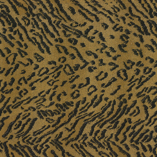 Oncilla - 196