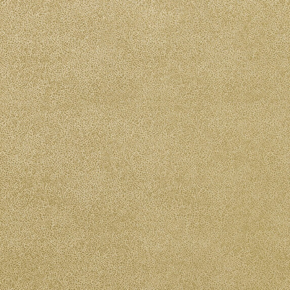 Glaze - 886