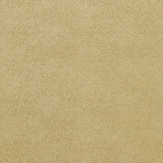Glaze - 886