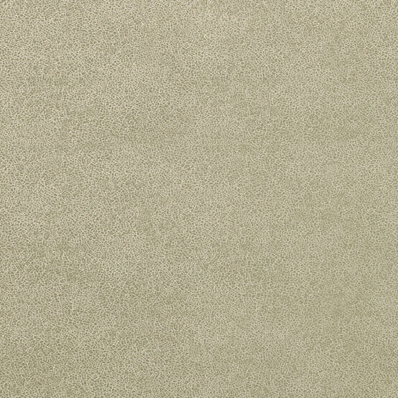 Glaze - 894