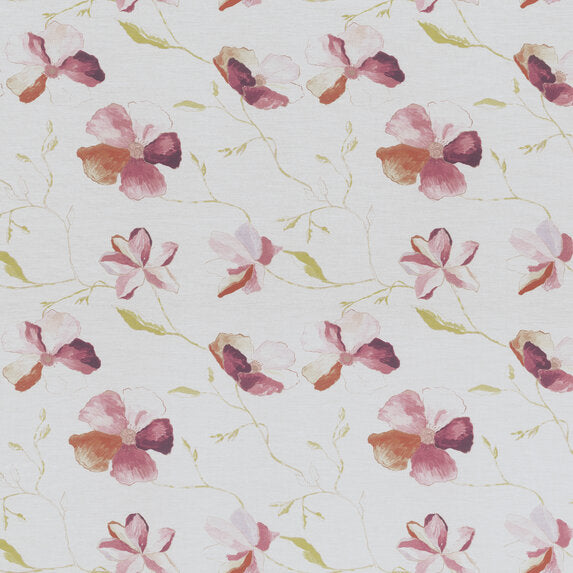 Anemone - 154