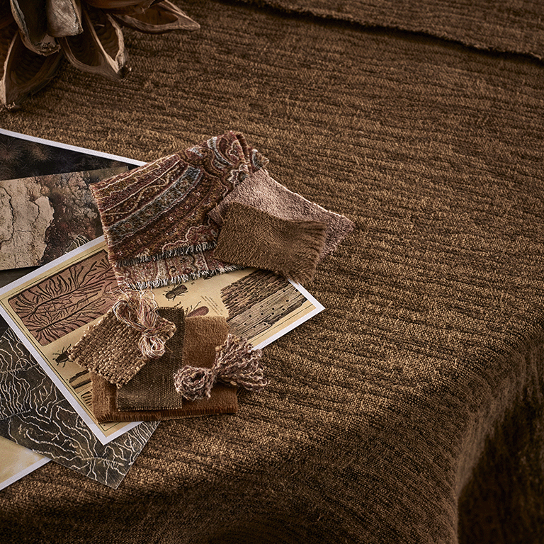 de Le Cuona | Beetle – Mopane