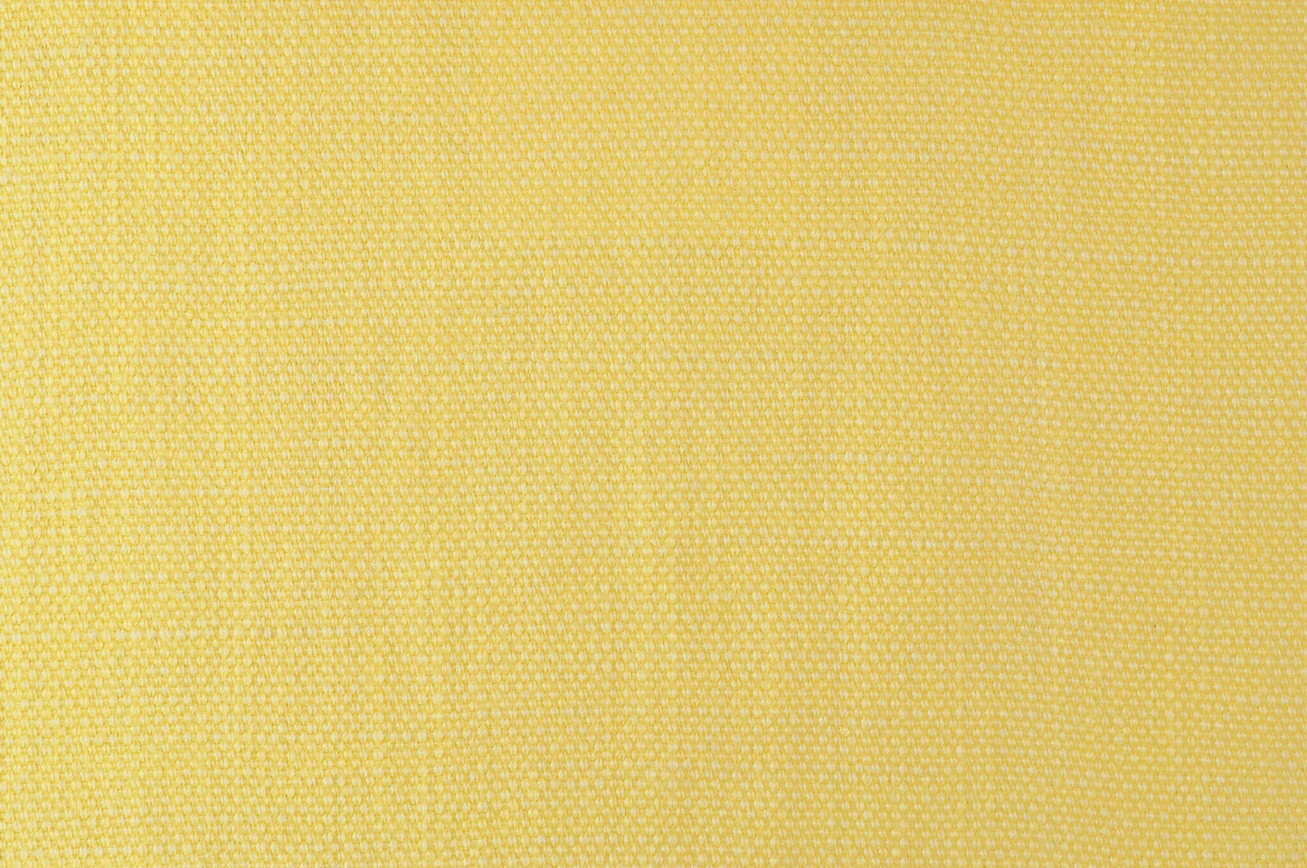 Pierre Frey Shabby - Citron