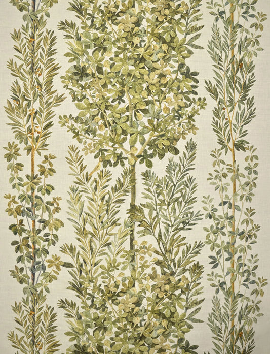 Pierre Frey Pompei - Eleganza