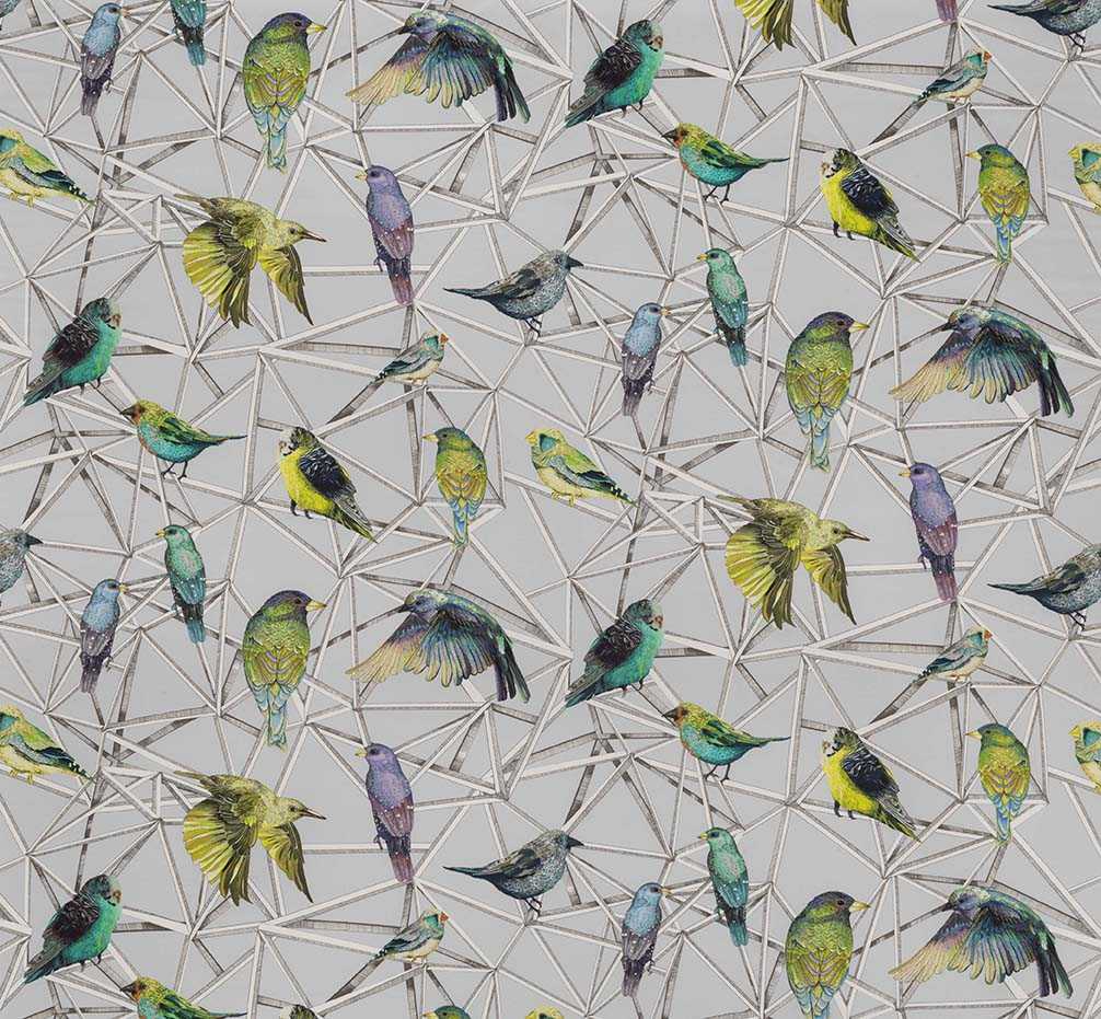 Osborne & Little | Aviary fabric - F7011-01