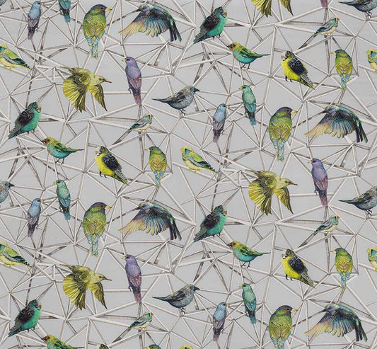 Osborne & Little | Aviary fabric - F7011-01