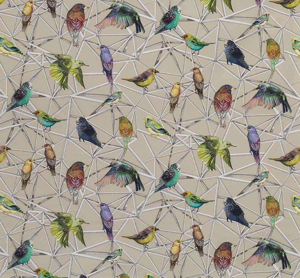 Osborne & Little | Aviary fabric - F7011-02