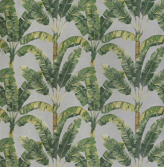 Osborne & Little | Palmaria fabric - F7171-01