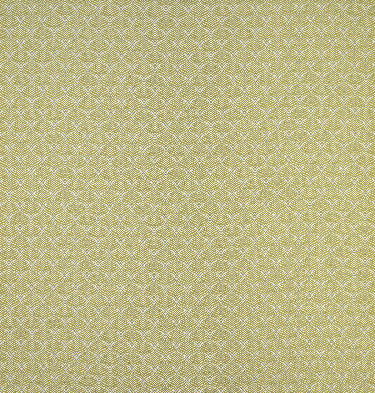 Osborne & Little | Calathea fabric - F7442-01