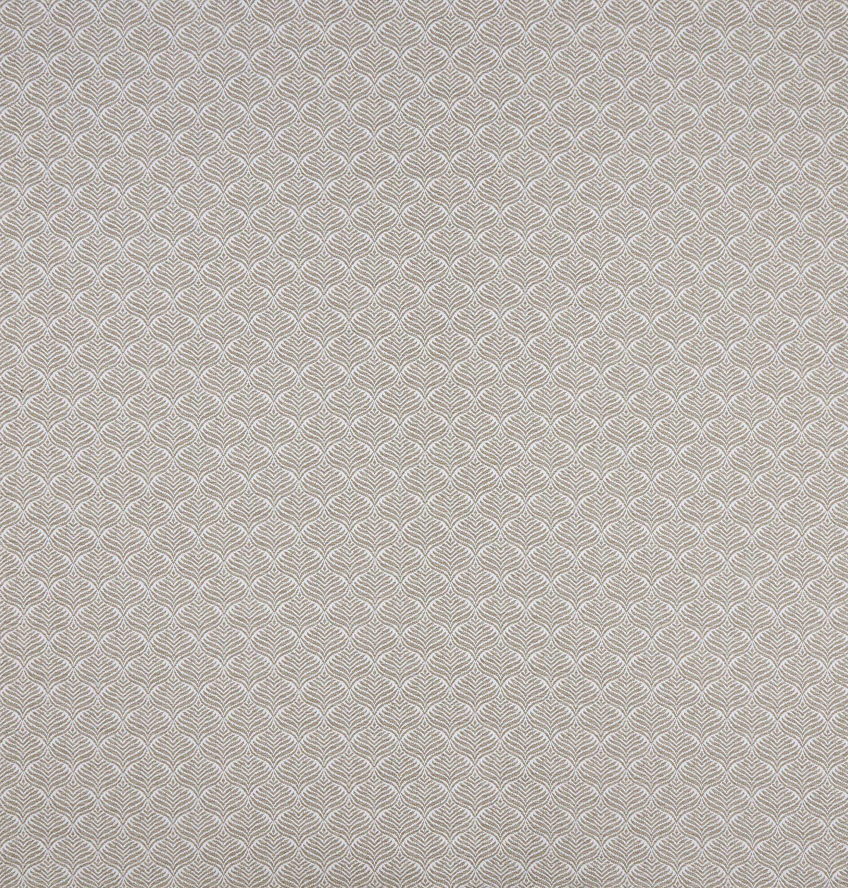Osborne & Little | Calathea fabric - F7442-03