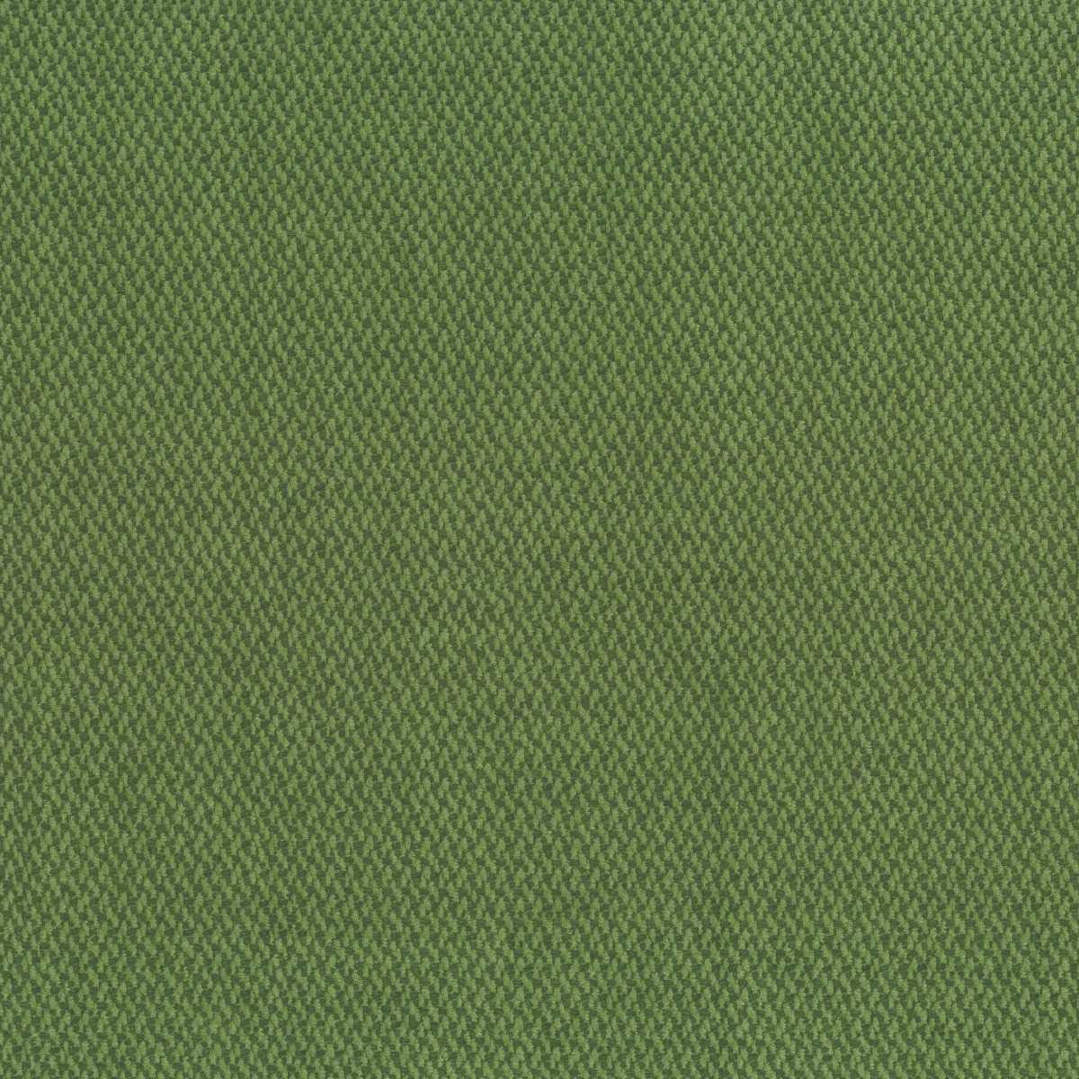Osborne & Little | Terra fabric - F7600-01