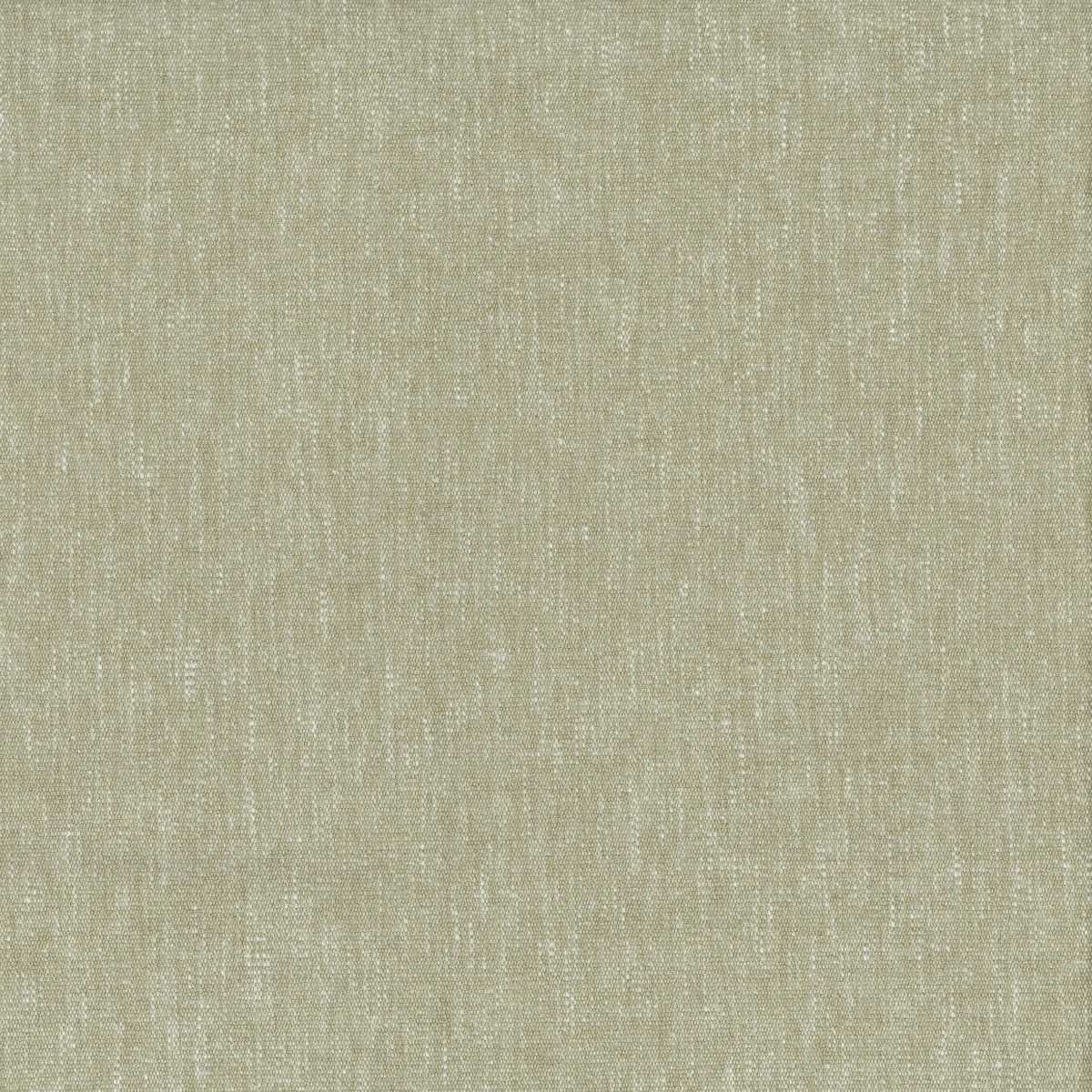 Osborne & Little | Firma fabric - F7601-16