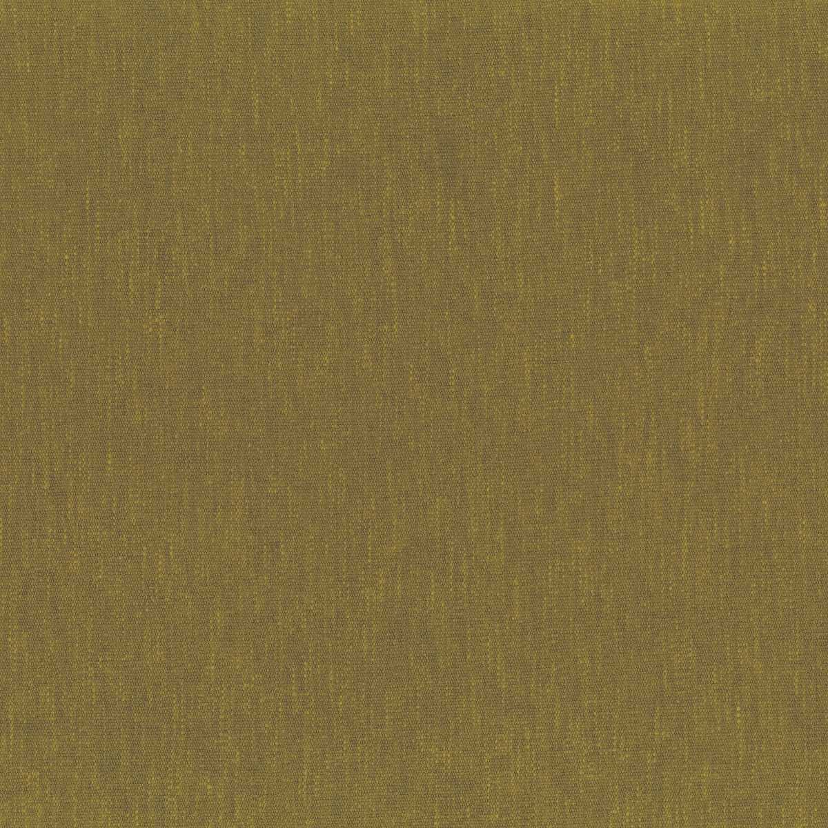 Osborne & Little | Firma fabric - F7601-17