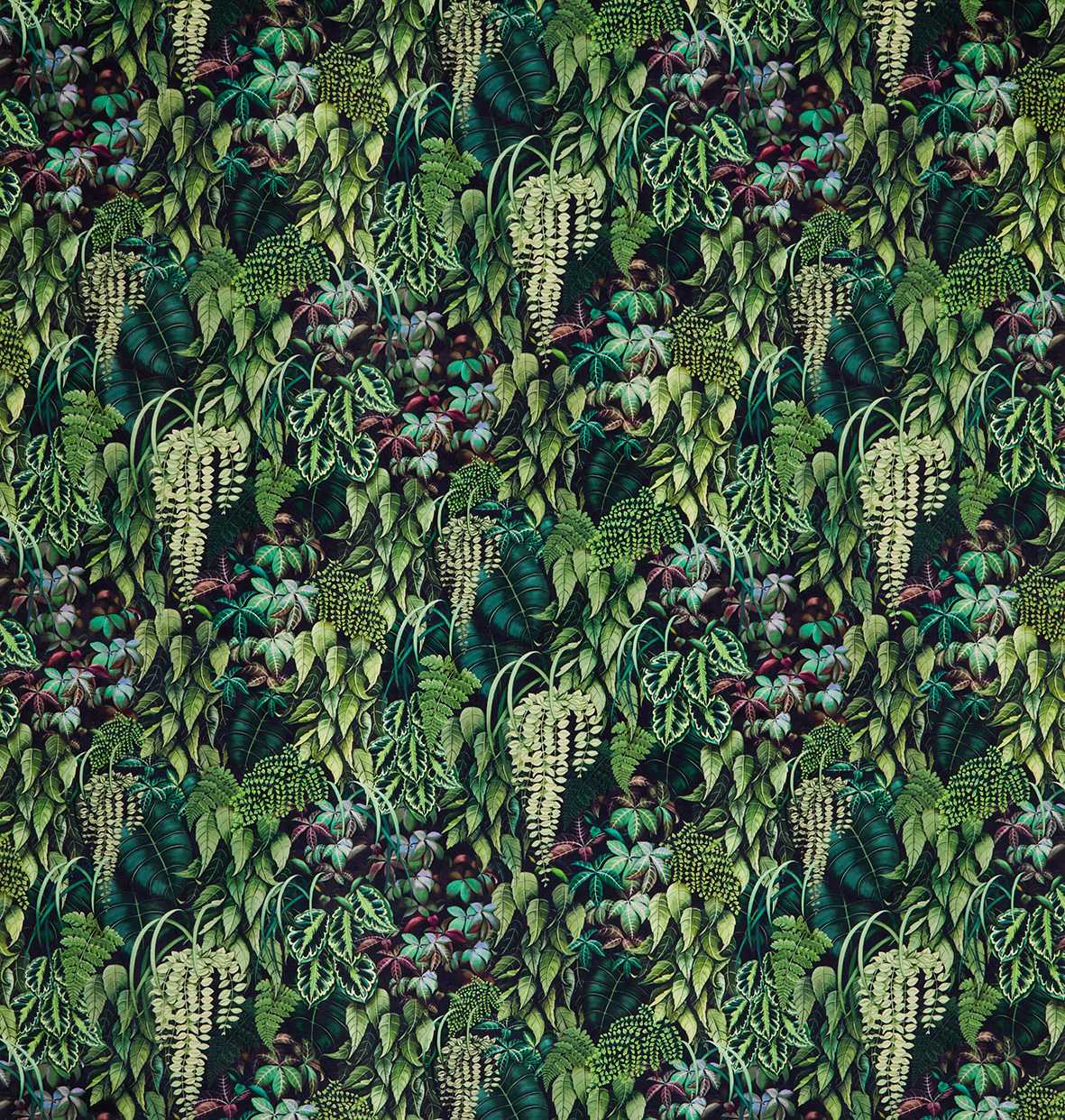 Osborne & Little | Green Wall Velvet fabric - F7677-02